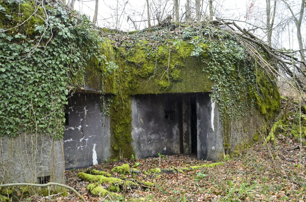 Ligne Maginot - EICHWALD (BATTERIE DE L') - (Position d'artillerie préparée) - PC batterie 3 et 4
Vue sur les entrées