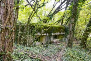 Ligne Maginot - PA DE SIERENTZ OUEST 1 - (Blockhaus pour canon) - 