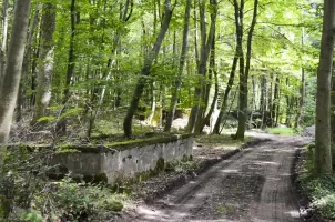 Ligne Maginot - STRENGWALD (BATTERIE DU) - (Position d'artillerie préparée) - Entrée de la position d'artillerie avec le quai de transbordement.
Au fond l'encuvement 1