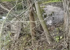 Ligne Maginot - UFFHEIM NORD - (Blockhaus pour canon) - La coupole