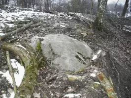 Ligne Maginot - BLOCHMONT SUD - (Blockhaus pour arme infanterie) - Sommet de la coupole
C'est la seule partie visible de la coupole, il est impossible de savoir s'il s'agit d'une coupole pour canon de marine de 47 mm ou pour mitrailleuse. 
Toutefois, dans les textes il est fait mention de 2 coupoles pour mitrailleuse au Blochmont, ce qui semble être le cas puisque 2 coupoles ont été retrouvées à ce jour.