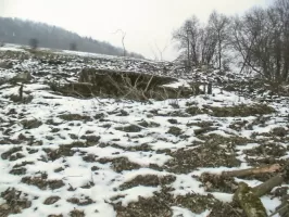 Ligne Maginot - BLOCHMONT SUD - (Blockhaus pour arme infanterie) - Vue sur l'entrée principale vers le Nord-Ouest
Au fond dans la forêt, exactement dans cet alignement sur cette pente boisé qu'on devine se trouve le blockhaus du Blochmont