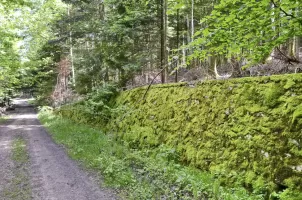 Ligne Maginot - GLASERBERG (ROUTE STRATéGIQUE) - (Infrastructure routiére) - Mur de soutènement (K)