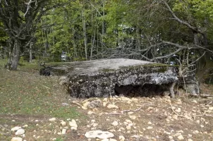 Ligne Maginot - HORNIHOF - (Observatoire d'artillerie) - 