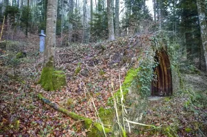 Ligne Maginot - NEUNEICH 5 - (Abri) - Vue coté gauche
On remarque bien le camouflage que provoque la végétation