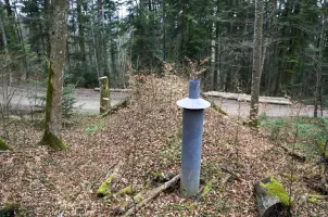 Ligne Maginot - NEUNEICH 5 - (Abri) - Vue du dessus
On remarque bien le camouflage que provoque la végétation
