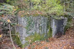Ligne Maginot - NEUNEICH 7 - (Abri) - Façade nord, avec entrée