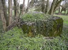 Ligne Maginot - B675 - ROTTMATTEN SUD - (Blockhaus pour arme infanterie) - 