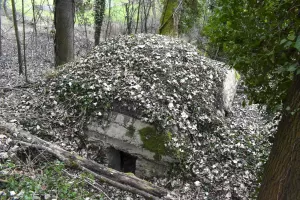 Ligne Maginot - BATTENHAEUSLEIN 5 - (Blockhaus pour arme infanterie) - L'entrée côté Ouest