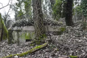 Ligne Maginot - BATTENHAEUSLEIN 5 - (Blockhaus pour arme infanterie) - Façade et créneau côté Nord