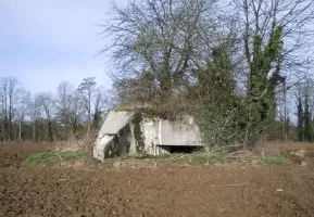 Ligne Maginot - D706 - HEGENHEIM 6 - (Blockhaus pour canon) - 