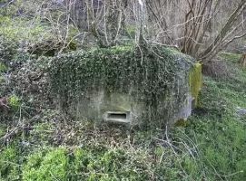 Ligne Maginot - B1685BIS - ROTTMATTEN NORD - (Blockhaus pour arme infanterie) - 
