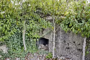 Ligne Maginot - BLOTZHEIM SUD 3 - (Blockhaus pour arme infanterie) - L'entrée