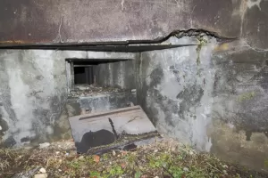 Ligne Maginot - G73 - ROSENAU BERGE 8 - (Blockhaus pour arme infanterie) - 