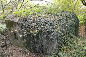 Ligne Maginot - HABERHAEUSER 2 - (Blockhaus pour arme infanterie) - Vue arrière du blockhaus avec son entrée à droite, son créneau de défense rapprochée et sa goulotte à grenade