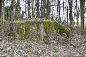 Ligne Maginot - HASELBERG - (Blockhaus pour arme infanterie) -  Coté ouest avec l'entrée et sud avec l'aération(le créneau mitrailleuse est masqué sous les branchages)