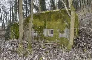 Ligne Maginot - HASELBERG - (Blockhaus pour arme infanterie) - Coté est avec le créneau FM.