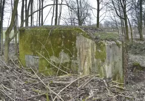 Ligne Maginot - HASELBERG - (Blockhaus pour arme infanterie) - Coté nord avec le créneau FM. La sortie de secours est sous les branchages.