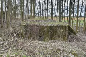 Ligne Maginot - HASELBERG - (Blockhaus pour arme infanterie) - Coté ouest avec l'entrée. La surélévation sur le toit est du à l'estrade de la chambre de tir FM.