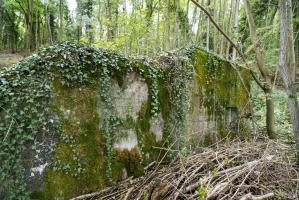 Ligne Maginot - HASELBERG - (Blockhaus pour arme infanterie) - 