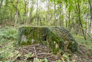 Ligne Maginot - HASELBERG - (Blockhaus pour arme infanterie) - 