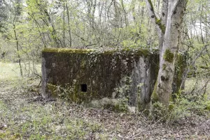 Ligne Maginot - ROSENAU EST - (Blockhaus pour arme infanterie) - Façade sud du blockhaus