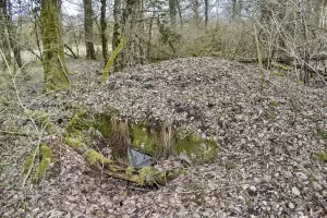 Ligne Maginot - SCHLAEGLE - (Position d'artillerie préparée) - Abri A3 isolé (plan position). Il illustre bien le défilement.