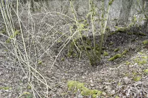 Ligne Maginot - SCHLAEGLE - (Position d'artillerie préparée) - Excavation du groupe sud