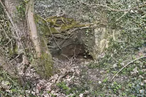 Ligne Maginot - VOGELSANG - (Position d'artillerie préparée) - Abri du bas