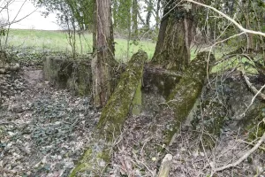 Ligne Maginot - VOGELSANG - (Position d'artillerie préparée) - Emplacement 1