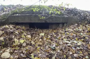 Ligne Maginot - B11 - BERMONT ECLUSE - (Blockhaus pour arme infanterie) - Coupole prise de face