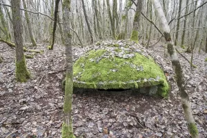 Ligne Maginot - B18-B - ETANG NEUF OUEST - (Blockhaus pour arme infanterie) - 