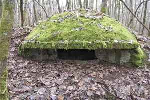 Ligne Maginot - B18-B - ETANG NEUF OUEST - (Blockhaus pour arme infanterie) - 