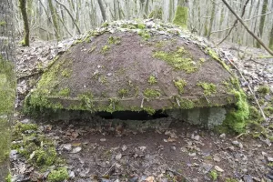 Ligne Maginot - B18-B - ETANG NEUF OUEST - (Blockhaus pour arme infanterie) - 