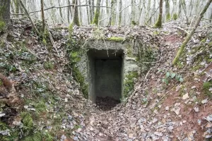 Ligne Maginot - B18-B - ETANG NEUF OUEST - (Blockhaus pour arme infanterie) - 