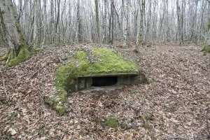 Ligne Maginot - B18 - ETANG-NEUF EST - (Blockhaus pour arme infanterie) - 