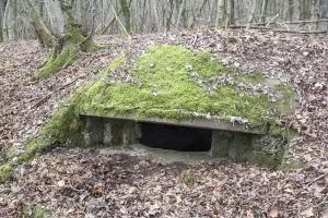 Ligne Maginot - B18 - ETANG-NEUF EST - (Blockhaus pour arme infanterie) - 