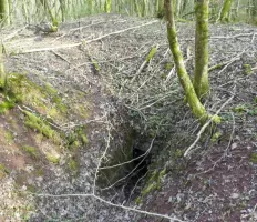 Ligne Maginot - B18 - ETANG-NEUF EST - (Blockhaus pour arme infanterie) -      
