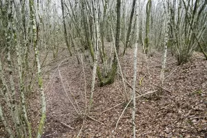 Ligne Maginot - B18 - ETANG-NEUF EST - (Blockhaus pour arme infanterie) - L'ouvrage terrassé dans lequel sont intégrées les 2 coupoles