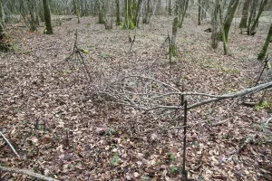 Ligne Maginot - B18 - ETANG-NEUF EST - (Blockhaus pour arme infanterie) - Le réseau est en place, dangereux