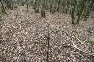 Ligne Maginot - B18 - ETANG-NEUF EST - (Blockhaus pour arme infanterie) - Le réseau est en place, dangereux