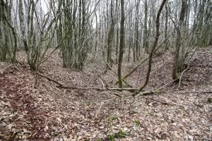 Ligne Maginot - B18 - ETANG-NEUF EST - (Blockhaus pour arme infanterie) - Le retranchement entre les 2 coupoles
