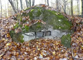Ligne Maginot - BOIS DE VETRIGNE NORD - (Blockhaus pour arme infanterie) - 