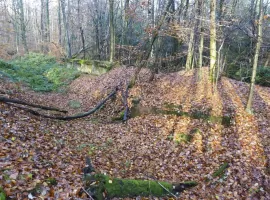 Ligne Maginot - BOIS DE VETRIGNE NORD - (Blockhaus pour arme infanterie) - Entrée de la coupole au centre droit