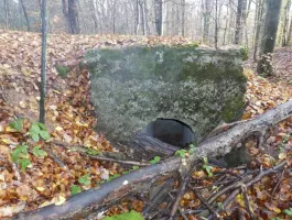 Ligne Maginot - BOIS DE VETRIGNE NORD - (Blockhaus pour arme infanterie) - Entrée