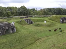Ligne Maginot - FORT DE BESSONCOURT - (Position d'artillerie préparée) - La rue du rempart.