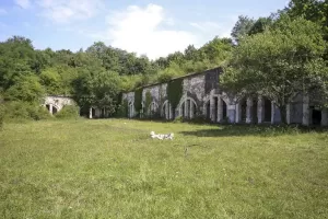 Ligne Maginot - FORT DE BOIS D'OYE - (Position d'artillerie préparée) -                                                         