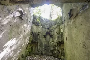 Ligne Maginot - FORT DE BOIS D'OYE - (Position d'artillerie préparée) - 