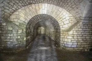 Ligne Maginot - FORT DE BOIS D'OYE - (Position d'artillerie préparée) - 
