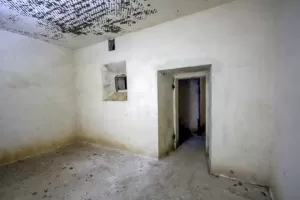 Ligne Maginot - FORT DE BOIS D'OYE - (Position d'artillerie préparée) -                                                       